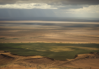 The Role of Climate Change in Human Evolution